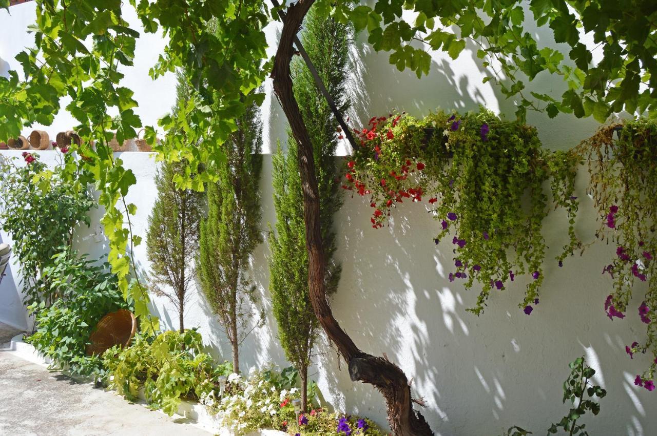 La Vieja Parra Guest House La Puerta de Segura ภายนอก รูปภาพ