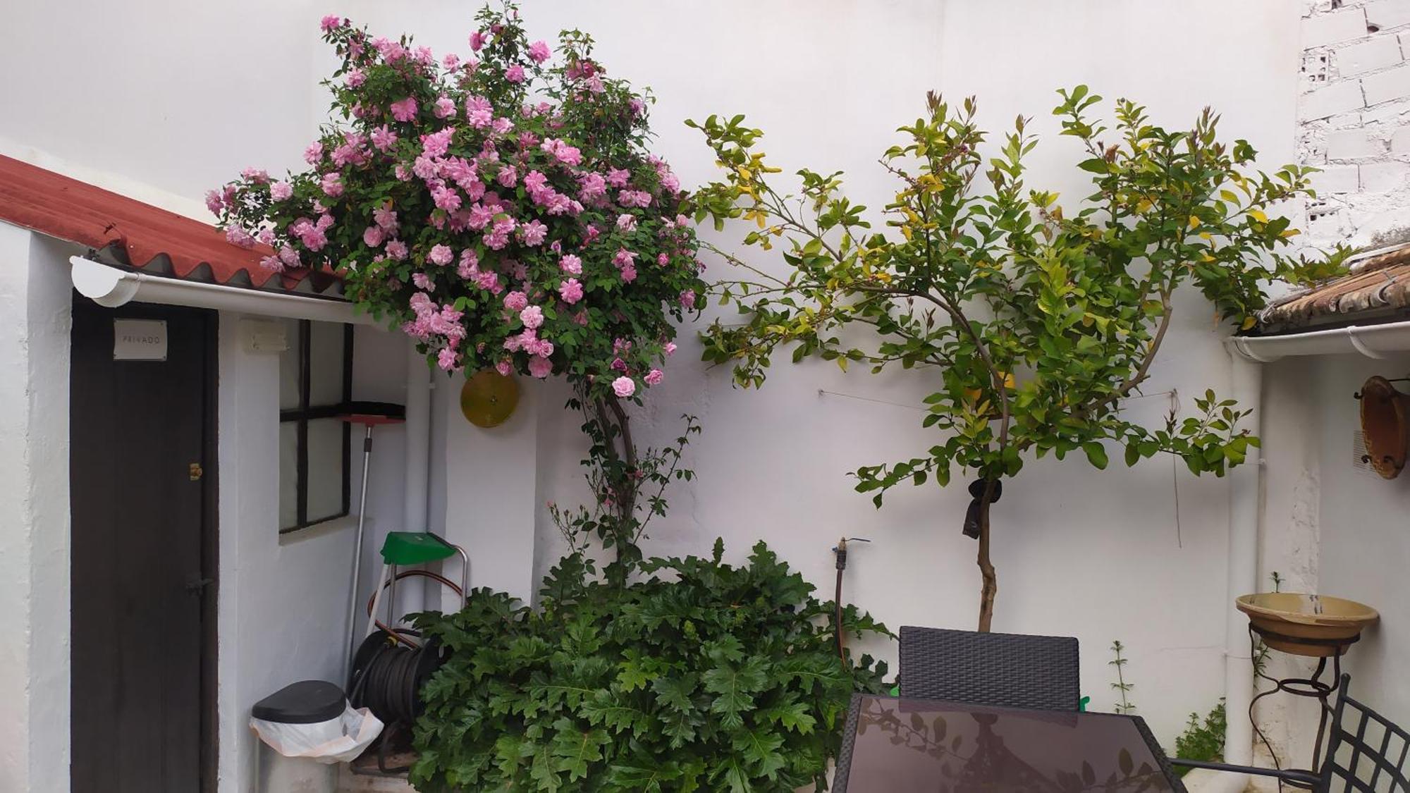La Vieja Parra Guest House La Puerta de Segura ภายนอก รูปภาพ