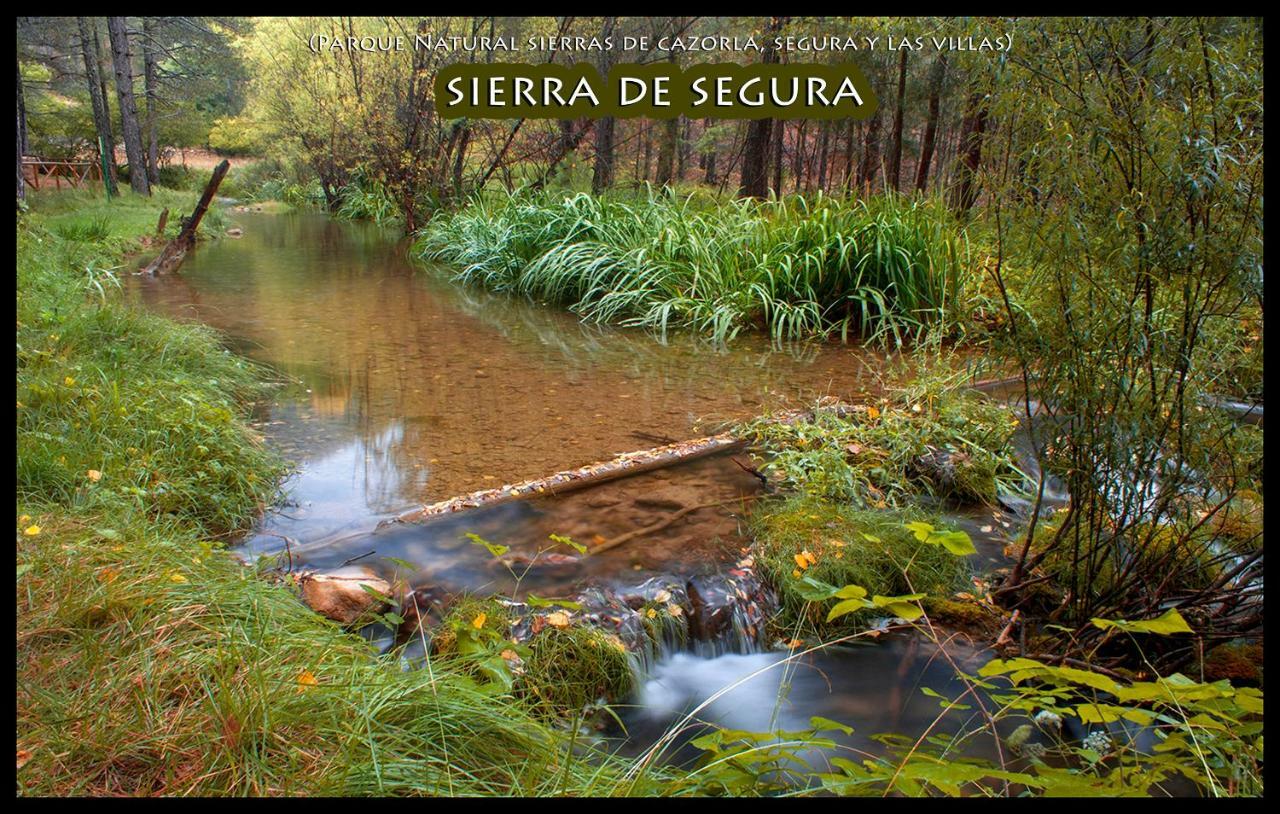 La Vieja Parra Guest House La Puerta de Segura ภายนอก รูปภาพ
